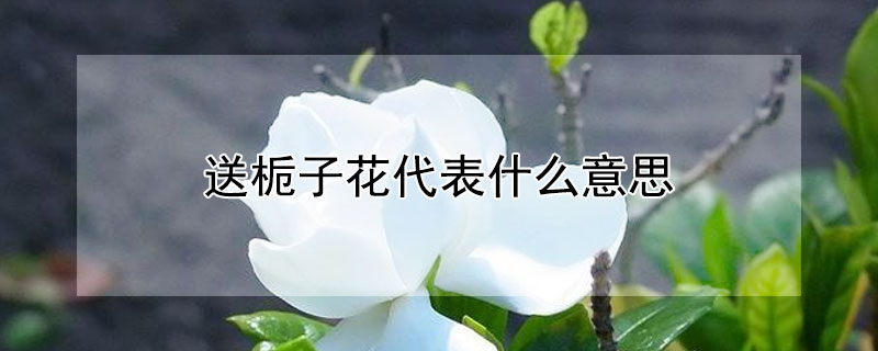 ӻʲô˼ӻʲô壩