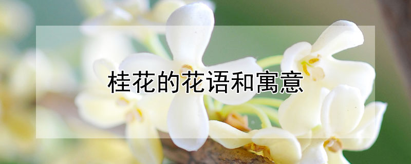 𻨵ĻԢʲôʲôˣ