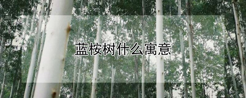 ʲôԢ⣿Ļ