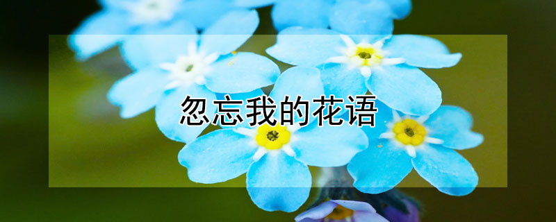 ҵĻʲô壿ʲôԢ⣿