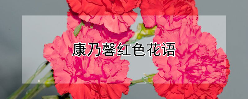 ܰɫʲô壿ɫܰʲôԢ⣿