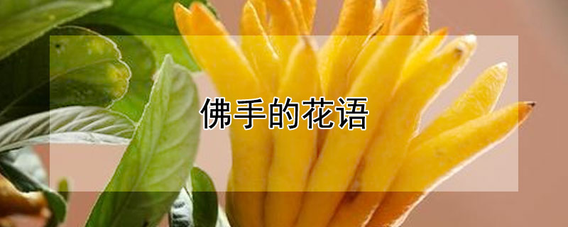 ʲôﺬ壿͸ʲôˣ