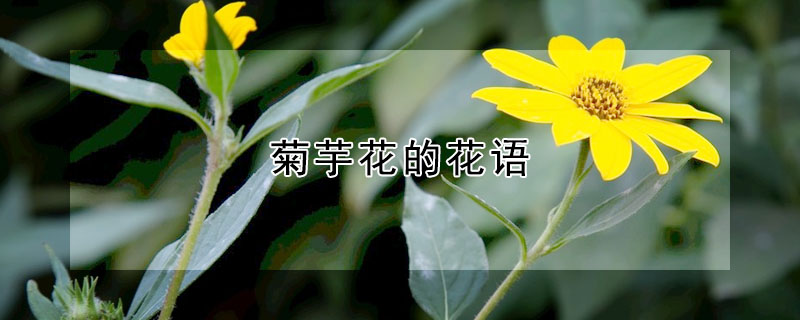 󻨵Ļʲô壿󻨵Ԣ