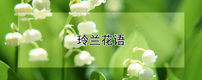 ʲô壿ʲôԢ⣿