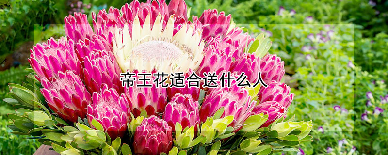 ʺʲôˣ͸ˣ