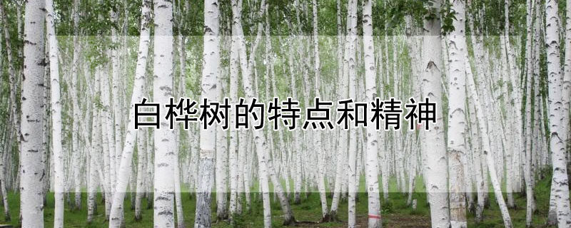 ʲôص;