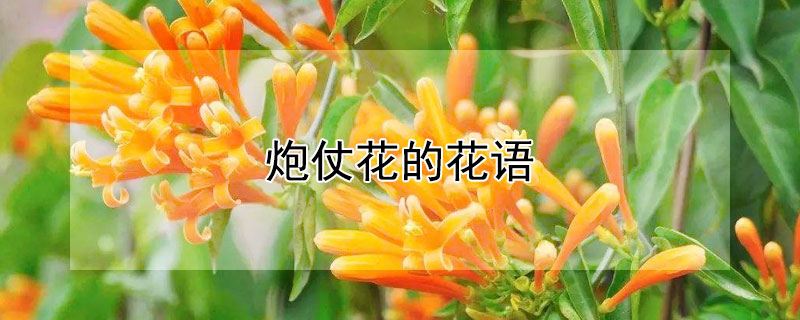 ̻Ļʲô̻ʲôԢ⣿