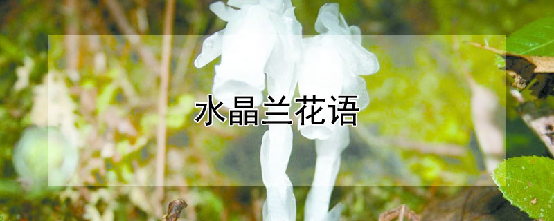 ˮʲô壿ˮʲôԢ⣩