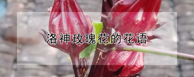 õ廨Ļʲô壿õ廨Ԣ