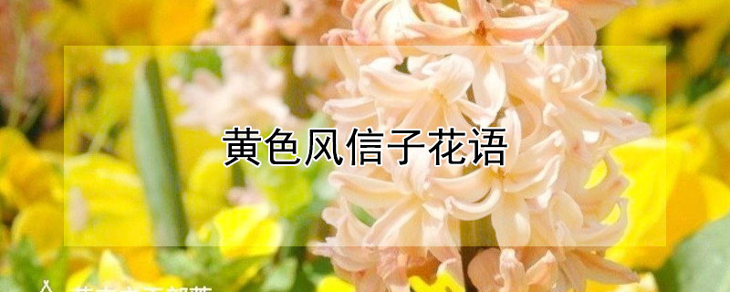 ɫӻʲô˼ɫʲôԢ⣿