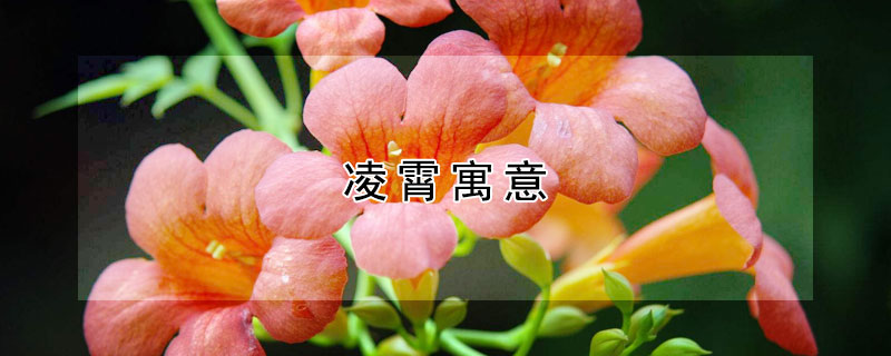 Ԣʲô壿