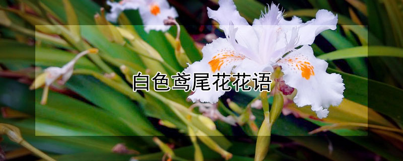 ɫβʲôɫβʲôԢ⣿