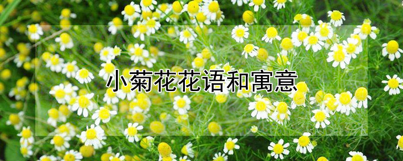 СջĻԢʺʲôˣ