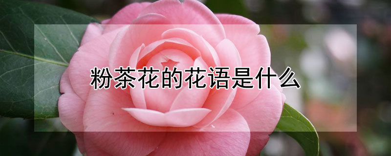 ۲軨Ļʲô۲軨Ԣʲô
