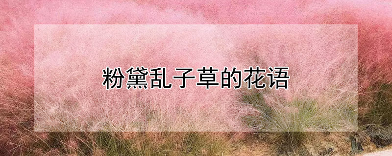 ӲݵĻӲݵԢʲô