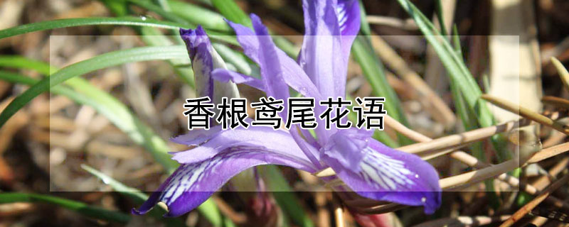 βʲôԢ⣿