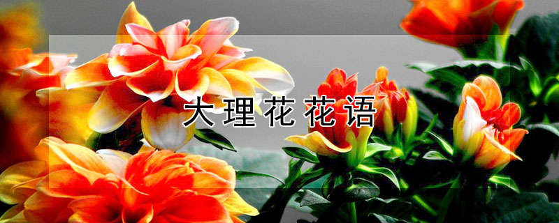 ĻԢ⣩