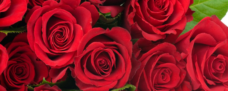 2õʲô2õĻ