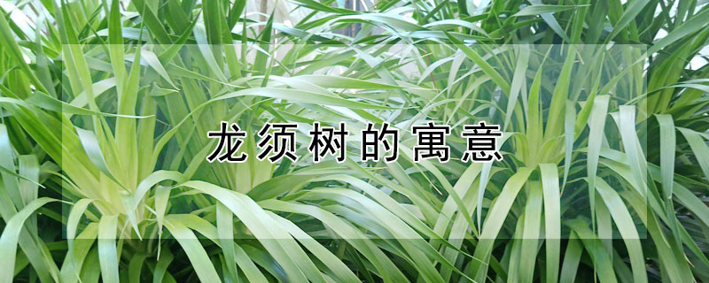 Ԣʲô