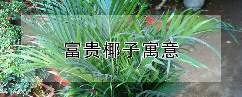 ҬʲôԢ⣿