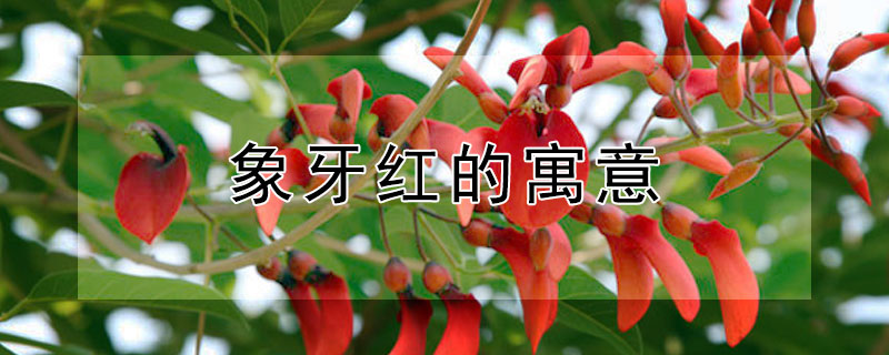 Ԣʲô