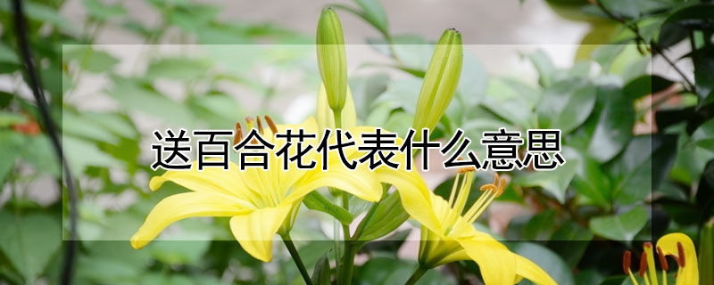 Ͱٺϻʲô˼Ͱٺϻĺ壩