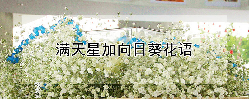 ǼտǼտʲôԢ⣿