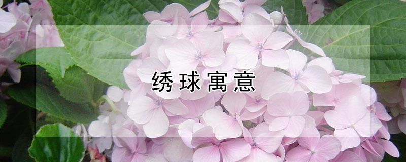 Ԣ⣬Щ壿