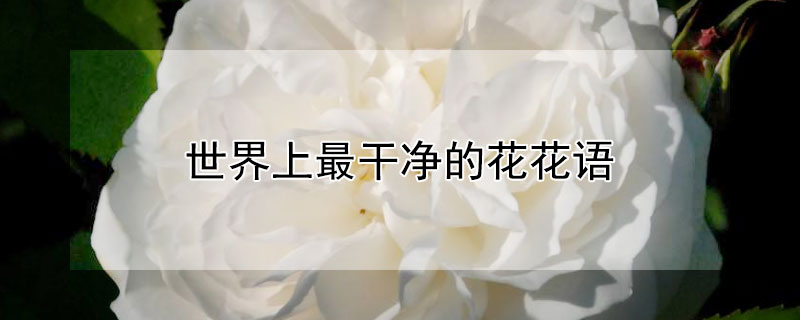 ɾĻﺬ壨ɾĻʲô
