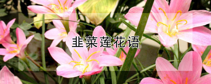 ²²ʲô壿