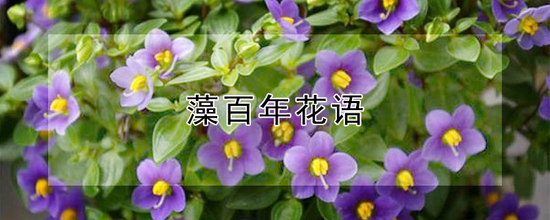 껨ʲô壿