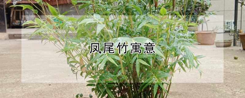βԢ⣨βʲô壩