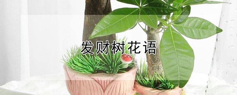 ʲô壿