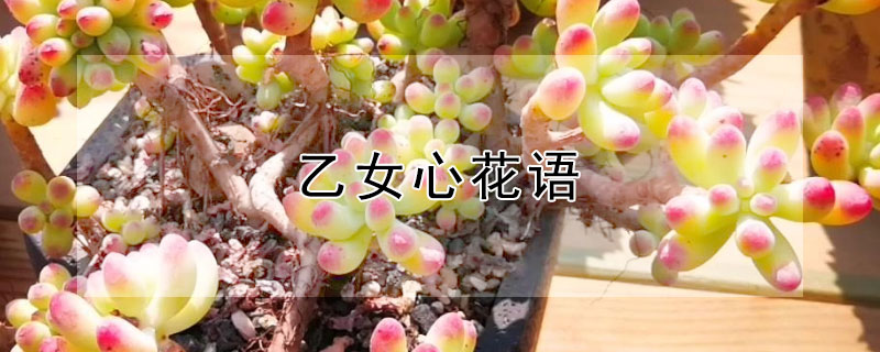 ŮĻʲô˼ŮʲôԢ⣿