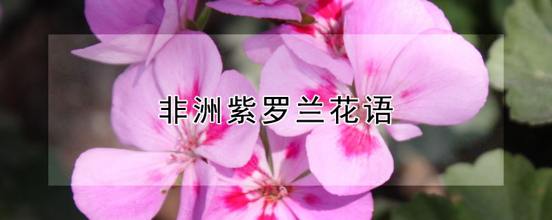 ʲôʲô壿