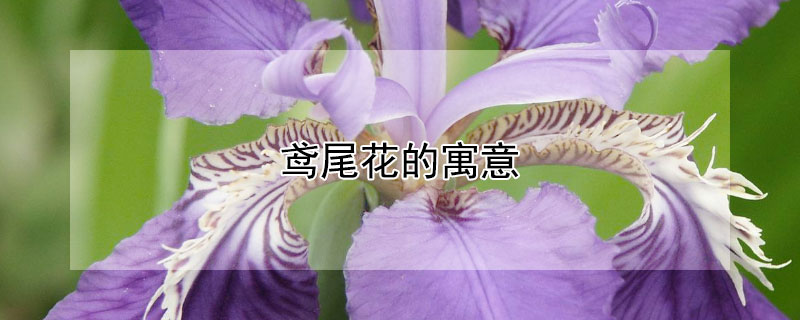 βԢʲôβʲô壿