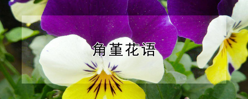 ʲôʲô壿