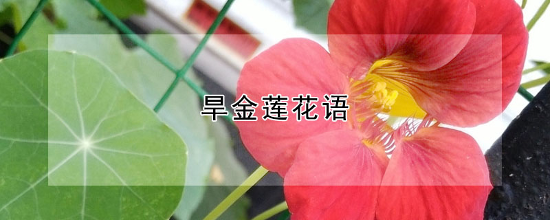 ʲôʲôԢ⣿