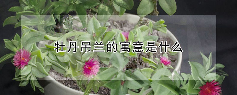 ĵԢʲôĵʲô壿