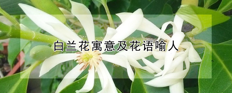 Ԣ⼰ʲô