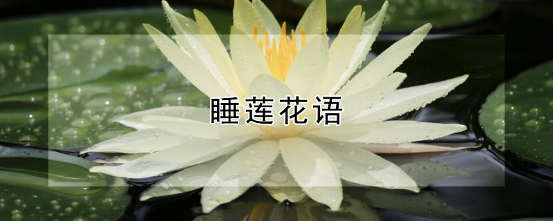 ˯ʲô壿