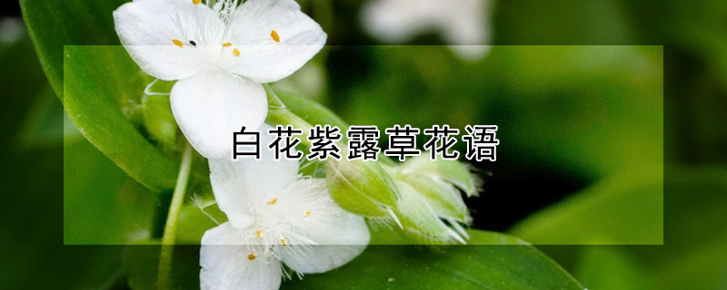 ׻¶ݻʲô׻¶ʲôԢ⣿