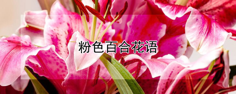 ɫٺϻﺬɫٺʲôԢ⣿