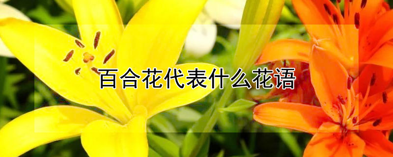 ٺϻʲôٺϻԢʲô