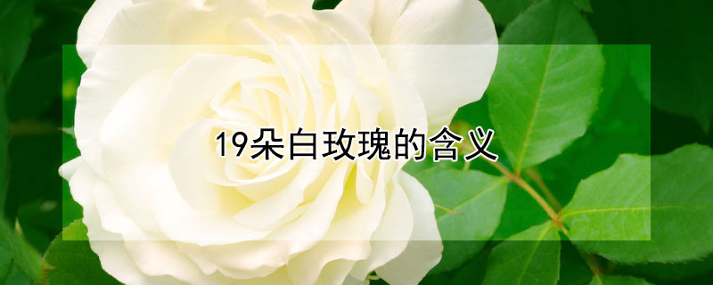 19õĺʲô19õʲôԢ⣿