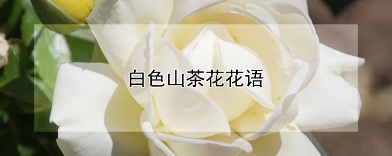 ɫɽ軨Ļܣɫɽ軨Щ壿