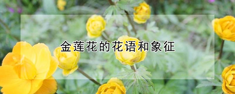 ĻﺬʲôԢ⣿
