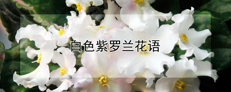 ɫﺬܣɫЩԢ⣿