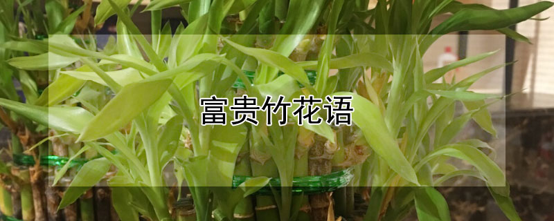 ʲôʺ͸ʲôˣ