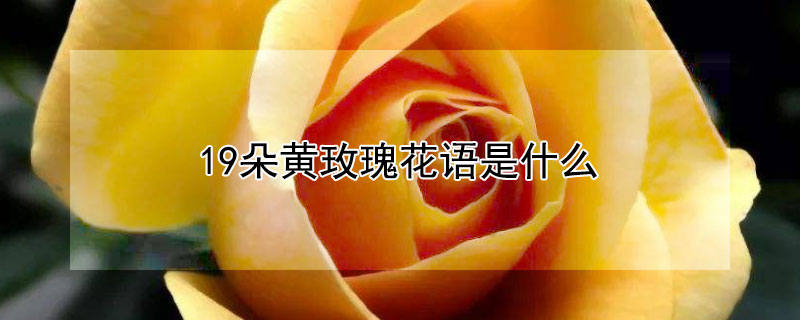 19õ廨ʲôЩԢ⣿ʺ͸ʲôˣ